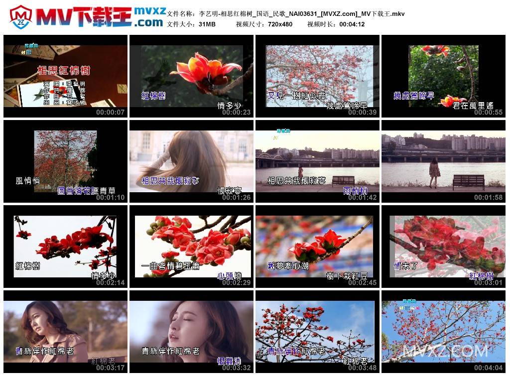 李艺明-相思红棉树_国语_民歌_NAI03631